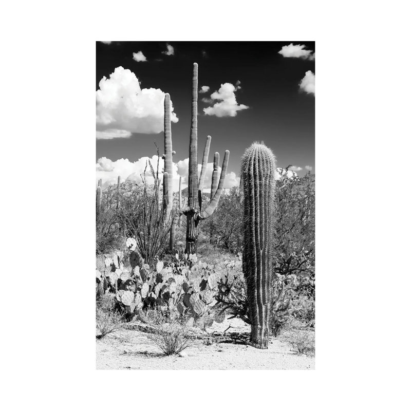 Série noire Arizona - désert de cactus-PHD1472, H 40 po x l 26 po x P 1,5 po
