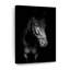 Cheval noir dans le noir sur toile-607744677