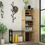 Baneen 8 Pair Shoe Storage Cabinet-697550921