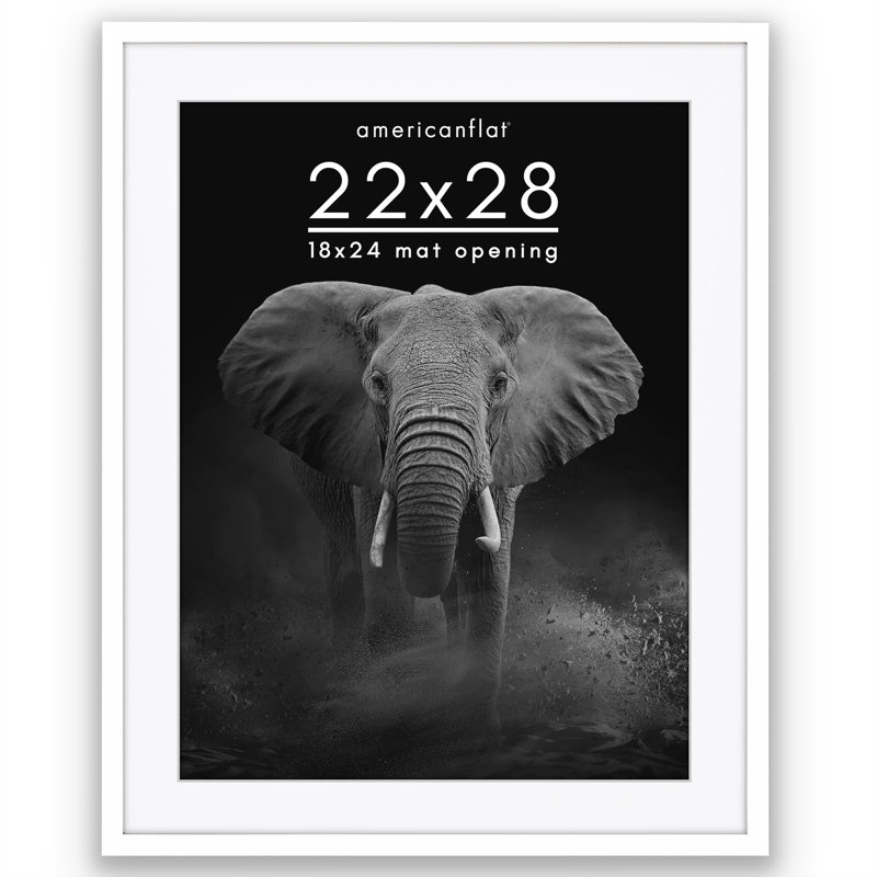 Cadre photo Americanflat, 22 po x 28 po