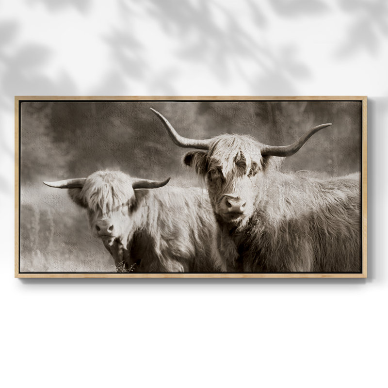 Sépia poilu Highland - Toile tendue avec châssis encadré - Prêt à être accroché, H 21 po x l 41 po, Naturel