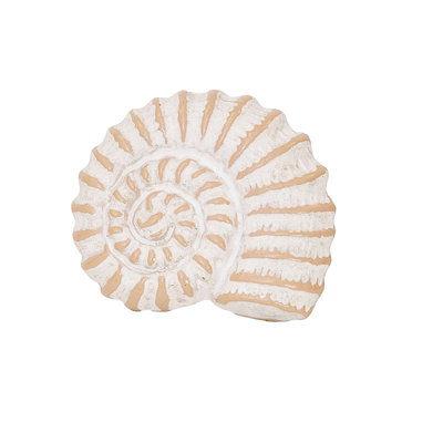 Seashell Napkin Rings