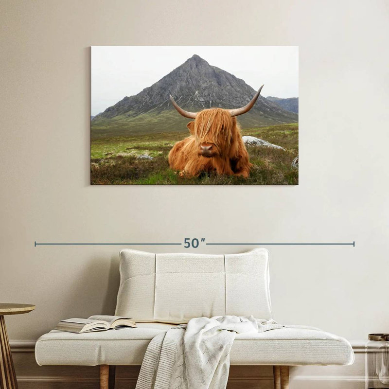 Vache sereine Brampt Highland, H 26 po x l 39 po