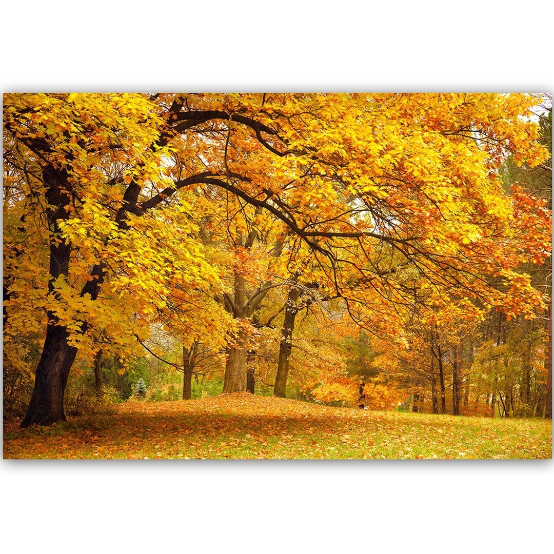 Leinwandbild Yellow Autumn Trees