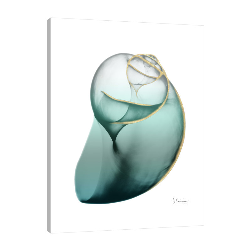 Shimmering Snail 3 - impression sur toile tendue, H 40 po x l 30 po