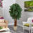 Lychee Artificial Tree in Country White Planter-525481463