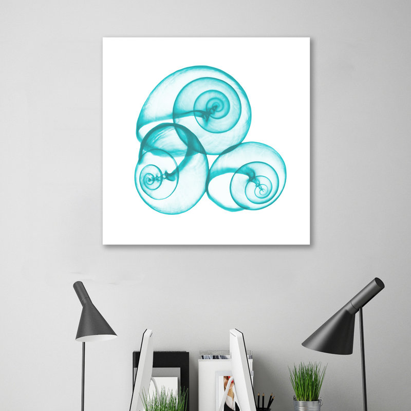 Turquoise Sky Snails - Wrapped Canvas Print, 30cm H x 30cm W x 4cm D