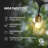Glow Series 28 ft. Outdoor Solar LED String Lights with 12 Warm White G40 Bulbs, Hanging Brass Sockets, Weatherproof, Commercial-Grade Cord