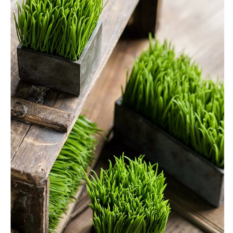 Faux herbes, H 6,69 po x l 3,9 po x P 3,9 po