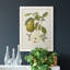 Toile encadrée de qualité supérieure Vintage Pears II - prête à être accrochée-579958128-579958135
