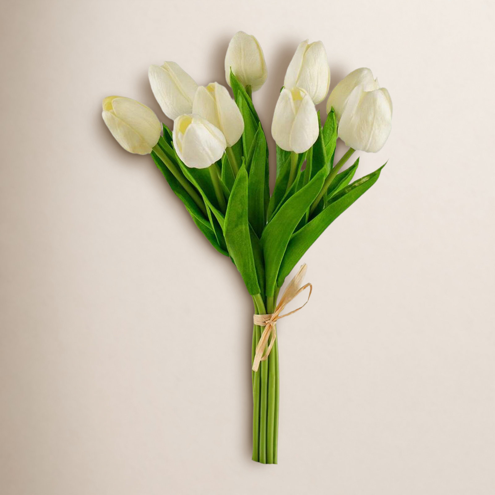 Tucson Tulip Stems, White, 13" H x 5.5" W x 5.5" D