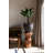 Poseidon S, Umber Brown