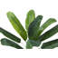 Fausse plante banane en polypropylène (PP) de 43 po
