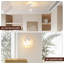 Semi Flush Mount-638477553