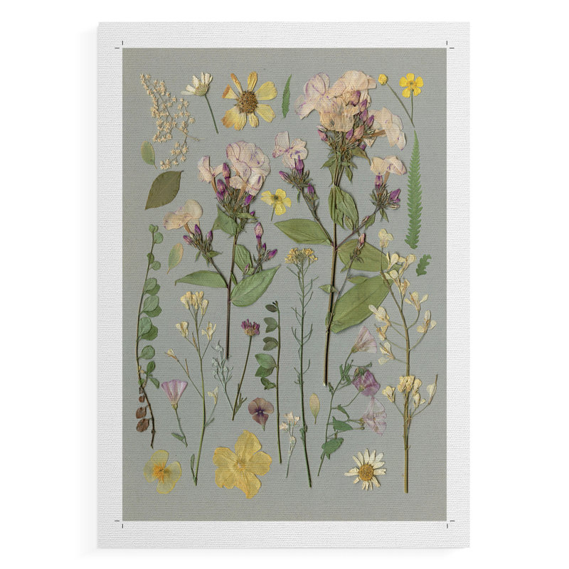 Organic Study II - Impression sur toile seulement - NON-CADRE