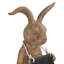 Figurine tableau noir de lapin contenant du travail Parma