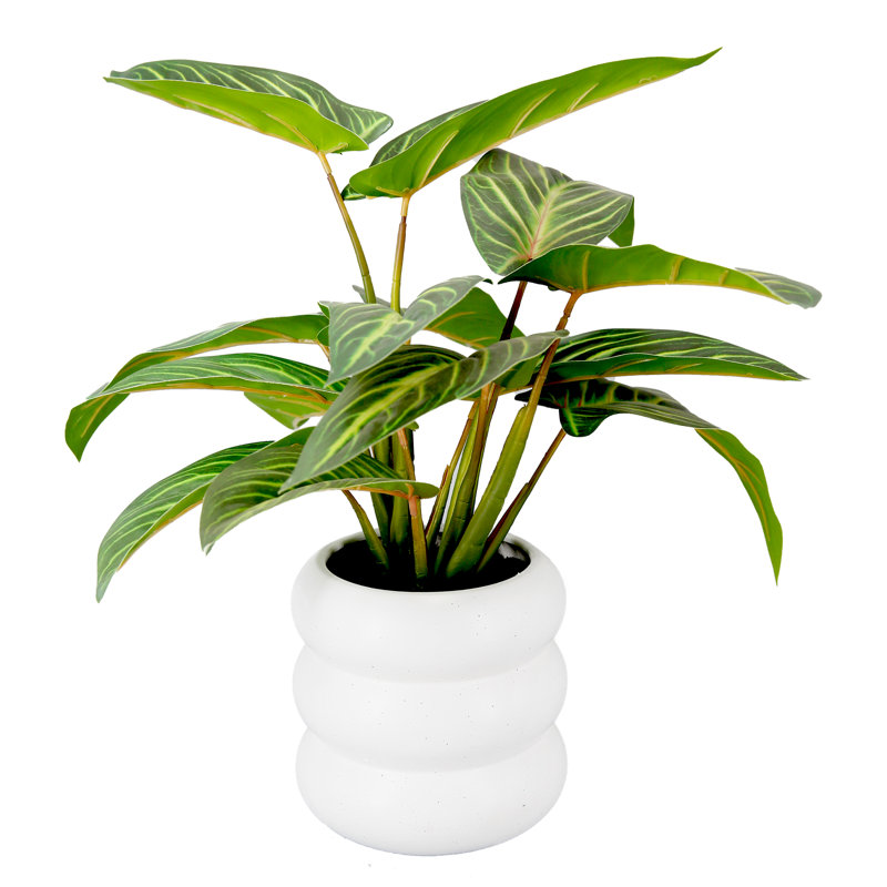 Plante auriculaire artificielle en pot 16 po