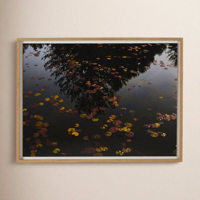 Echo by Shade Degges, 24" H x 32" W