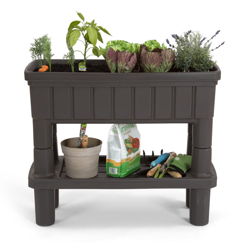 Jardinière surélevée pour patio