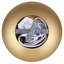 Brac Single Light Metal Dimmable LED Pendant-2145483045