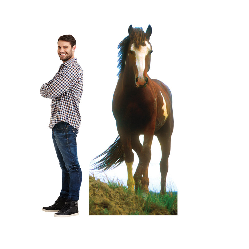 Life-Size Brown and White Mustang Horse Cardboard Standup