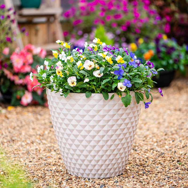 Cataleah Pot Planter