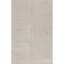 Area Rug in Beige