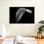 Lys Calla monochrome-810851420