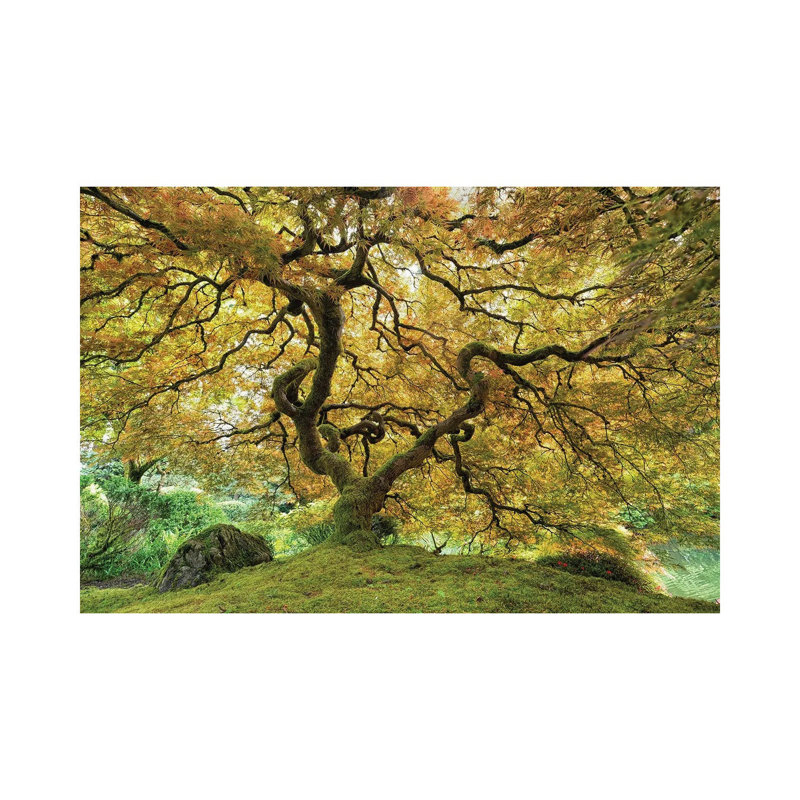 Fairy Tale Tree by Mateusz Piesiak - Wrapped Canvas Print, 30.48 cm H x 45.72 cm W