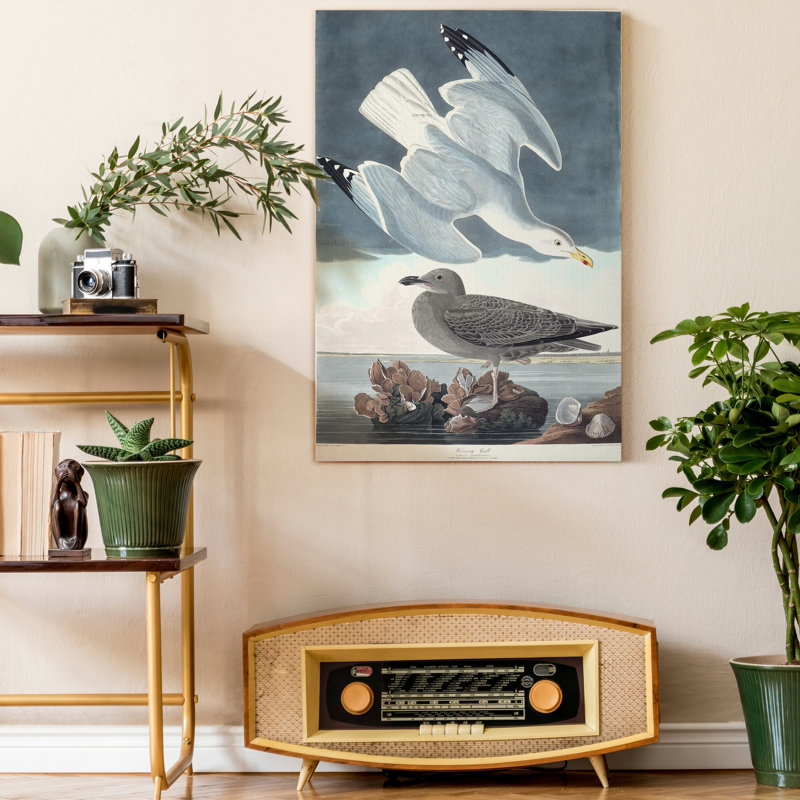 «Pl 291 Herring Gull», reproduction sur toile tendue, H 48 po x l 32 po x P 1 po