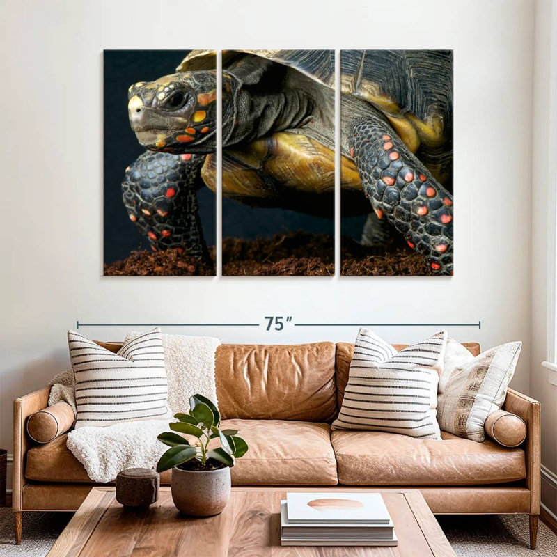 Tortue à pieds rouges Brampt, H 42 po x l 65 po