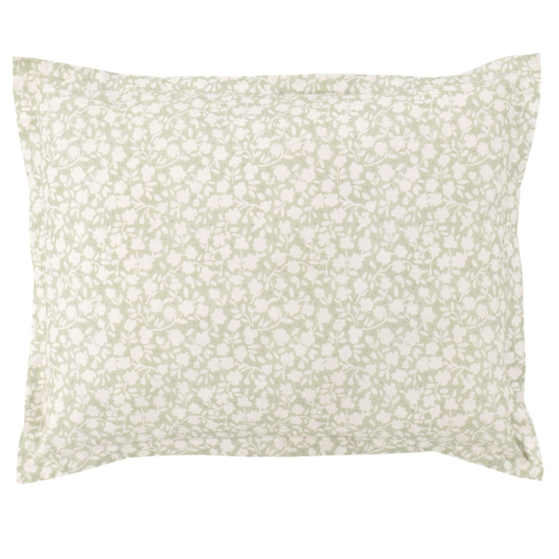 Aria Sham, Standard