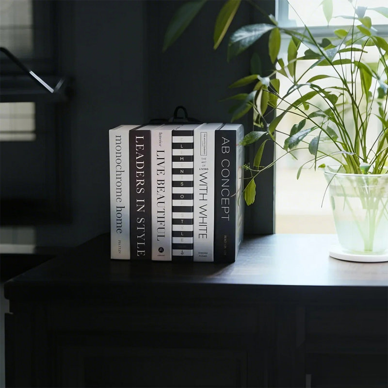Ensemble de 6 livres décoratifs pliables