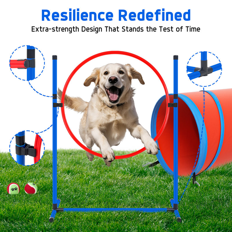 Ensemble d'équipement d'agilité pour chien, 10 pièces améliorées avec tunnel