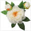Arrangement floral pivoines en soie 8,5 pouces crème-972280749