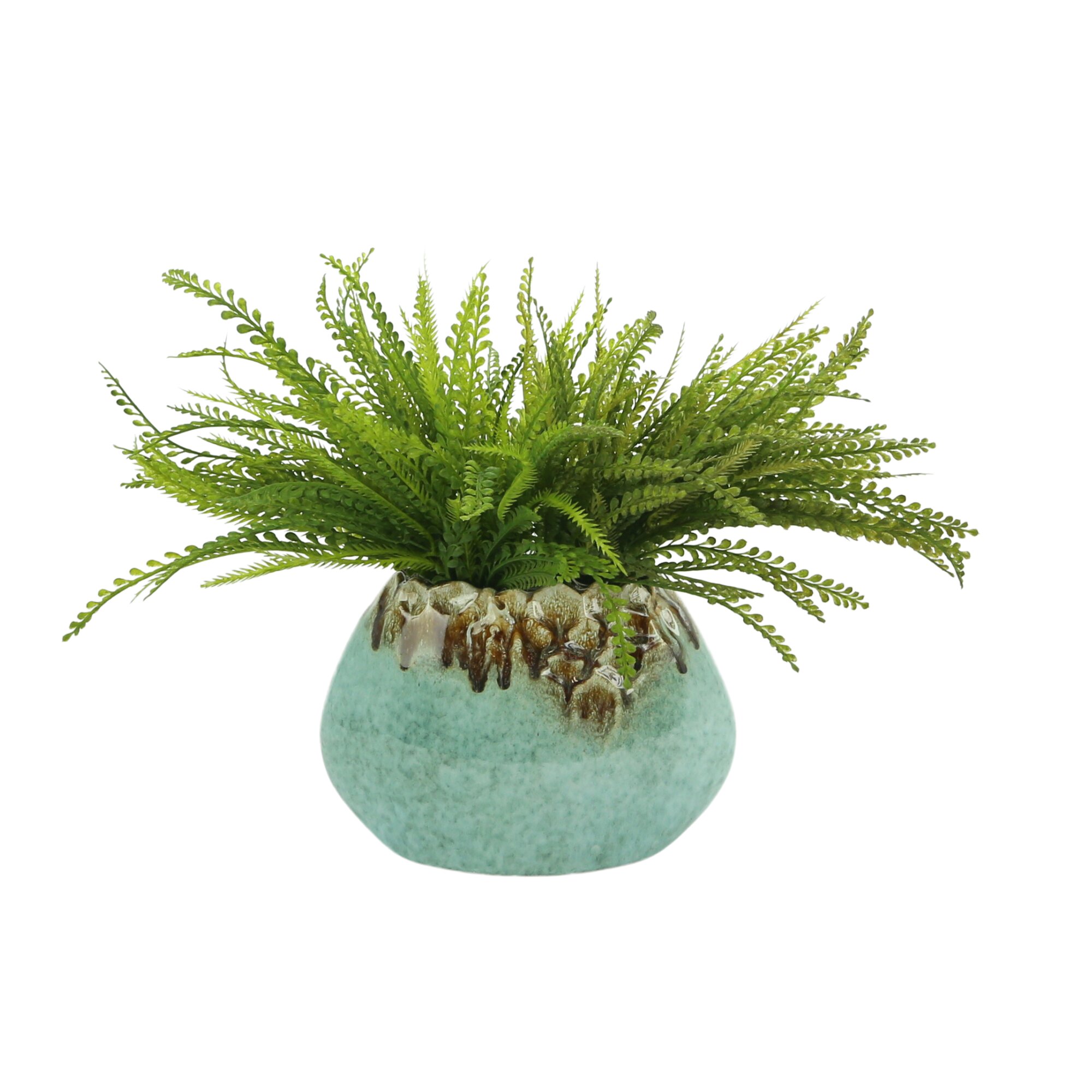 Creative Displays, Inc. Faux Foliage Plant in Ceramic Pot