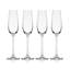 Lana 8.25 oz. Champagne Flutes
