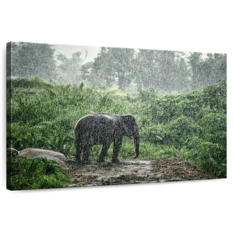 Brampt Elephant Rain Bath, 20" H x 30" W