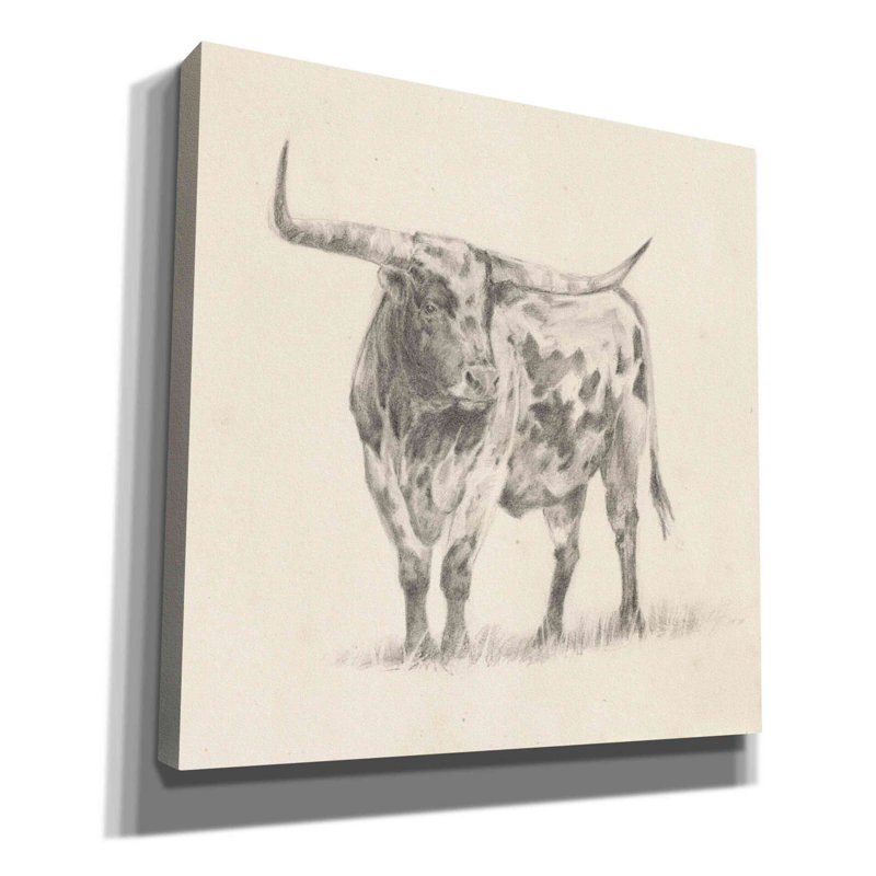 «Longhorn Steer Sketch II» par Ethan Harper, art mural sur toile, H 18 po x l 18 po x P 0,5 po