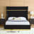Aspen Upholstered Low Profile Platform Bed-609741700-627037357