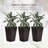 Outsunny Set Of 3 Tall Planters With Drainage Hole-1408516256