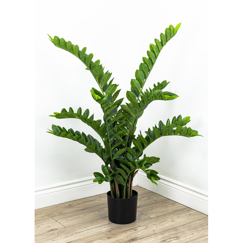 Fausse plante botanique Zamifolia