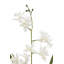 20.5" Artificial White Orchid in Vanda Pot