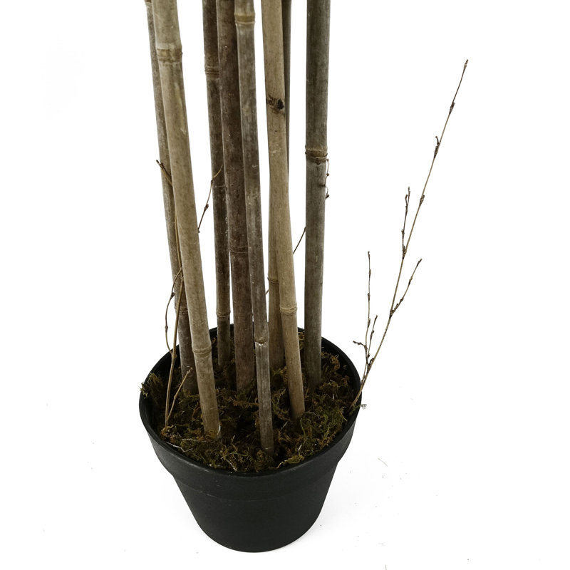 Faux Bamboo Tree in Pot Liner, 180cm H x 70cm W x 70cm D
