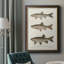 Espèces de poisson antique IV, toile encadrée de qualité supérieure - prête à être accrochée-185911562-174894911