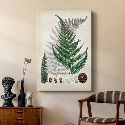 Collectionner Ferns II - galerie sur mesure