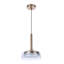 Luminaire suspendu conique à 1 lumière DEL Talisha-232104801-232104815