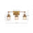 21.2" W 3-Light Dimmable Iron Vanity Light 