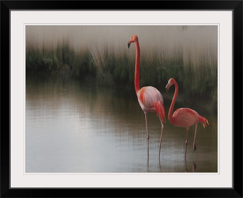 «Straub Flamants» par Anna Cseresnjes - reproduction d'art, Cadre noir, H 20 po x l 24 po x P 1 po