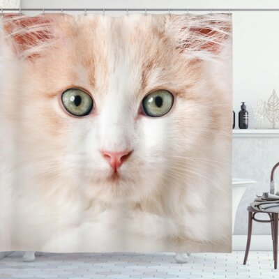 Cat Close up Print Single Shower Curtain -  Ambesonne, sc_4489